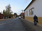 Třibřichy