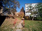 Borovina