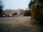 Borovina