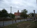 Třibřichy
