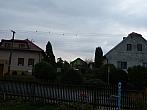 Třibřichy