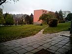Borovina