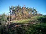 Borovina