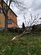 Skalité