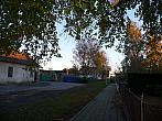 Třibřichy