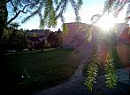 Borovina