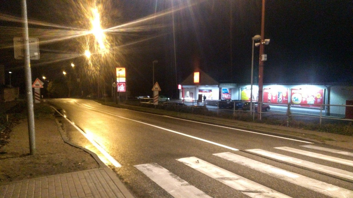 Borovina