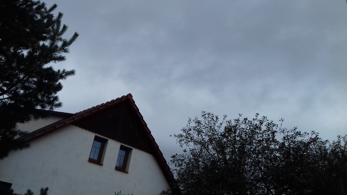 Olešná