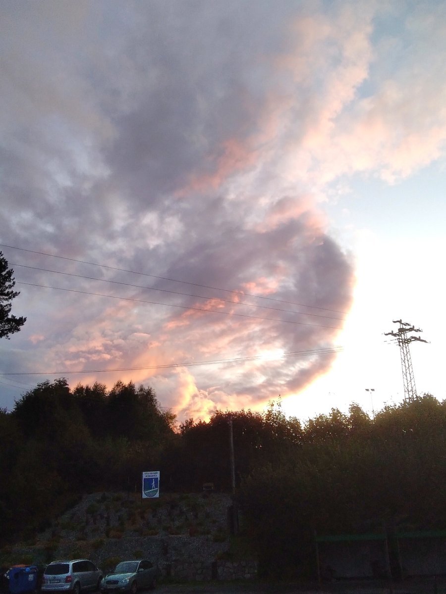 Ochodnica