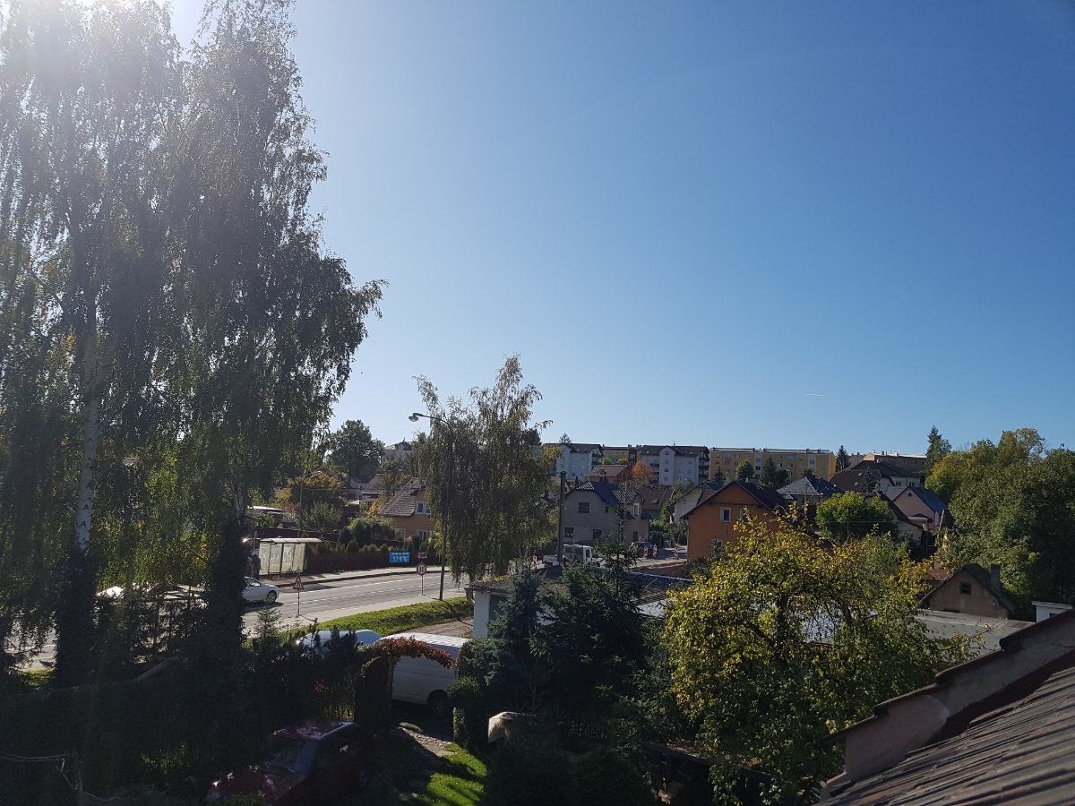 Nová Role