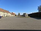 Třibřichy