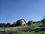 Skalité