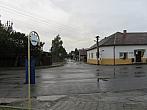 Třibřichy