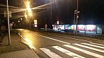 Borovina
