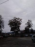 Čadca