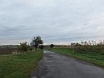 Třibřichy