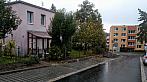 Borovina