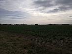 Císařov