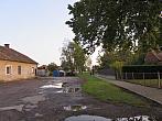 Třibřichy