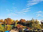 Hořice - Libonice