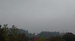 Borovina