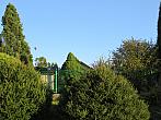 Třibřichy