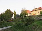 Třibřichy