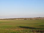 Třibřichy