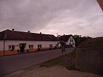 Třibřichy
