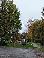Třibřichy