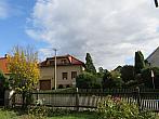 Třibřichy