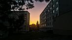 Borovina