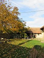 Třibřichy