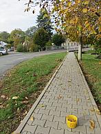 Třibřichy