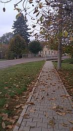 Třibřichy