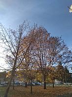 Čadca