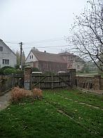 Třibřichy