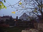 Třibřichy