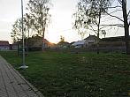 Třibřichy
