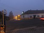 Třibřichy