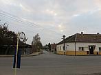 Třibřichy