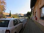 Třibřichy