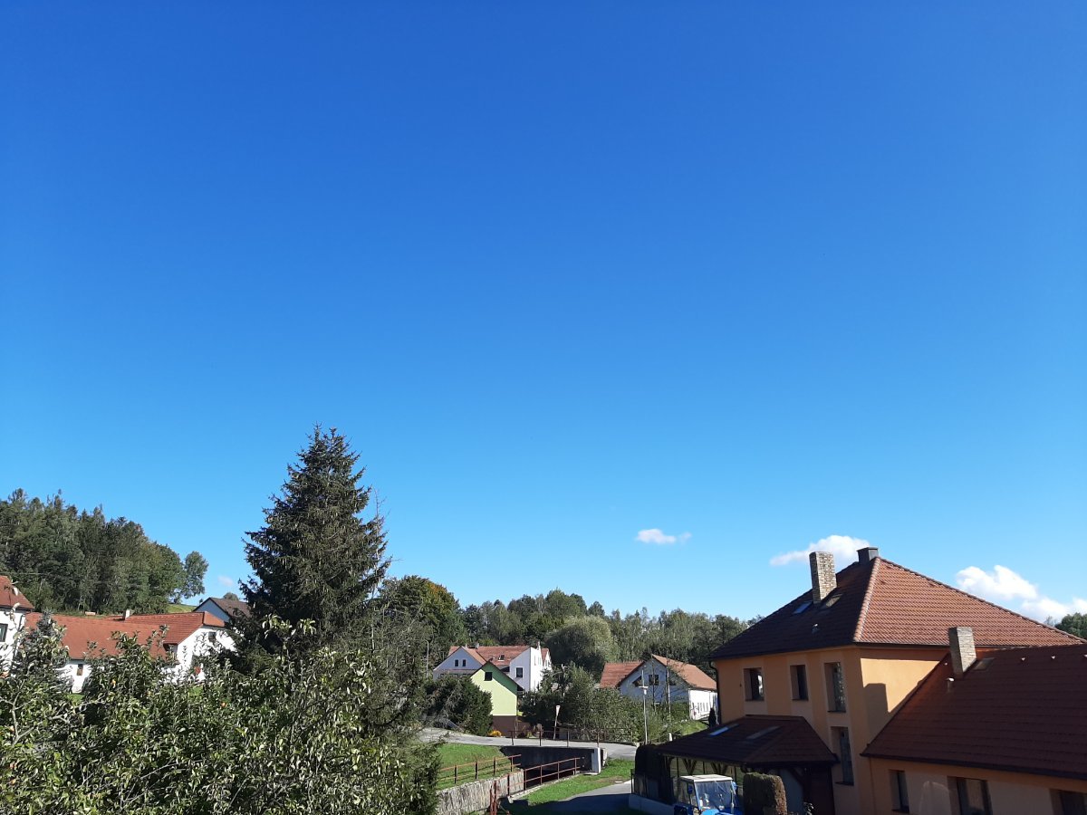 Olešná