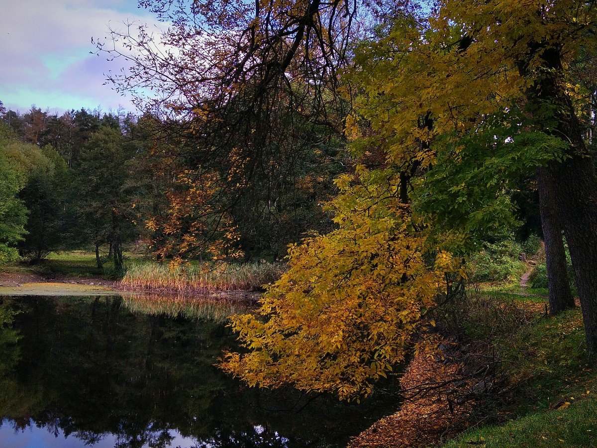Třebíč-Týn