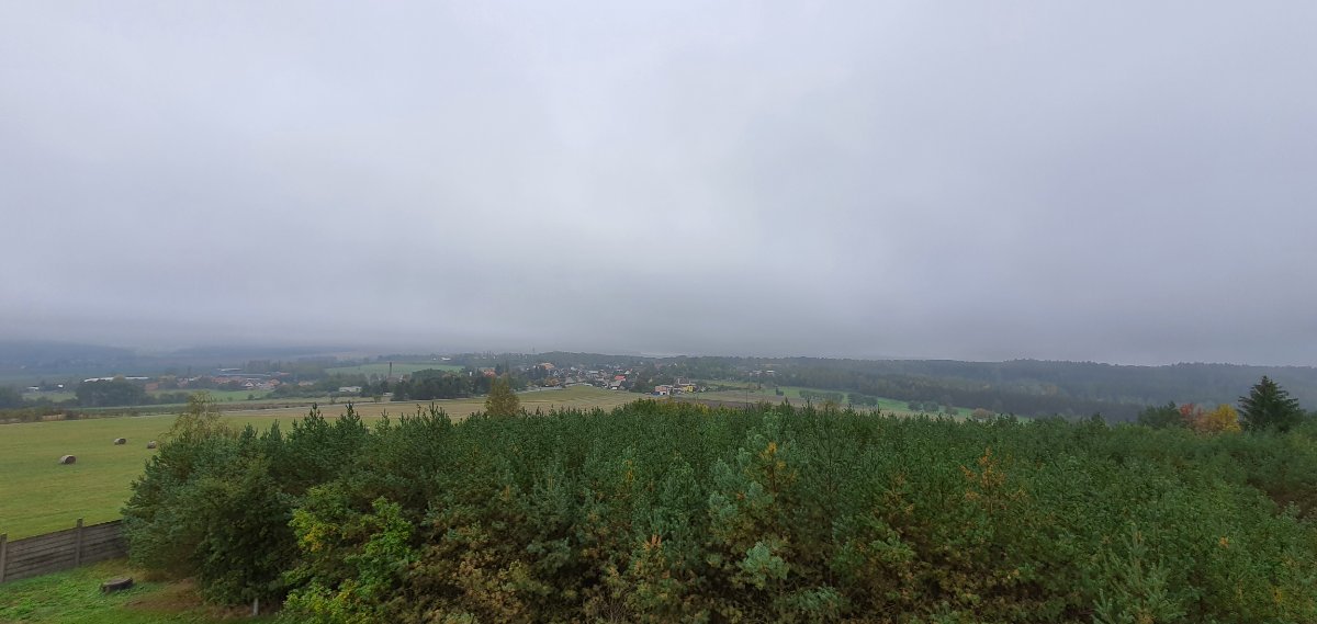 Břasy