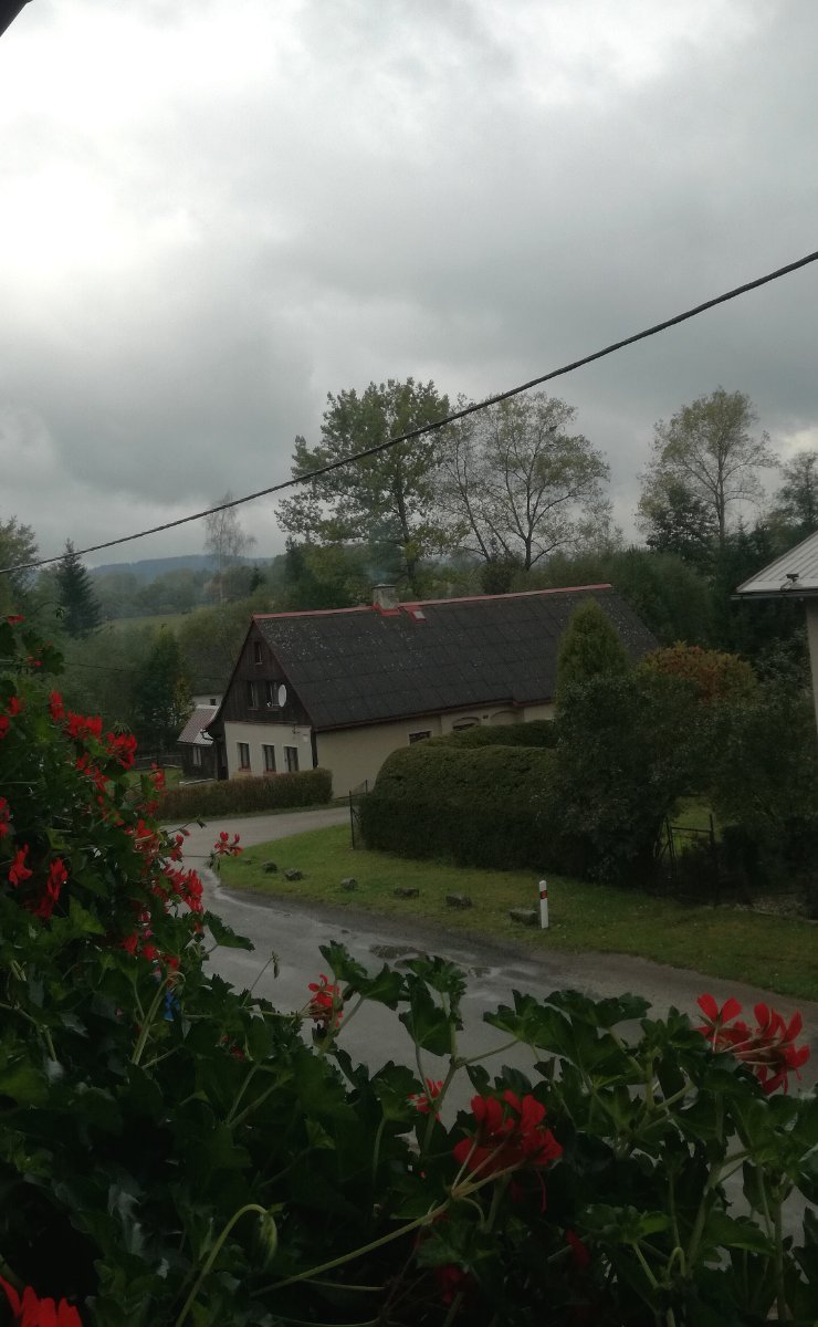 Březová