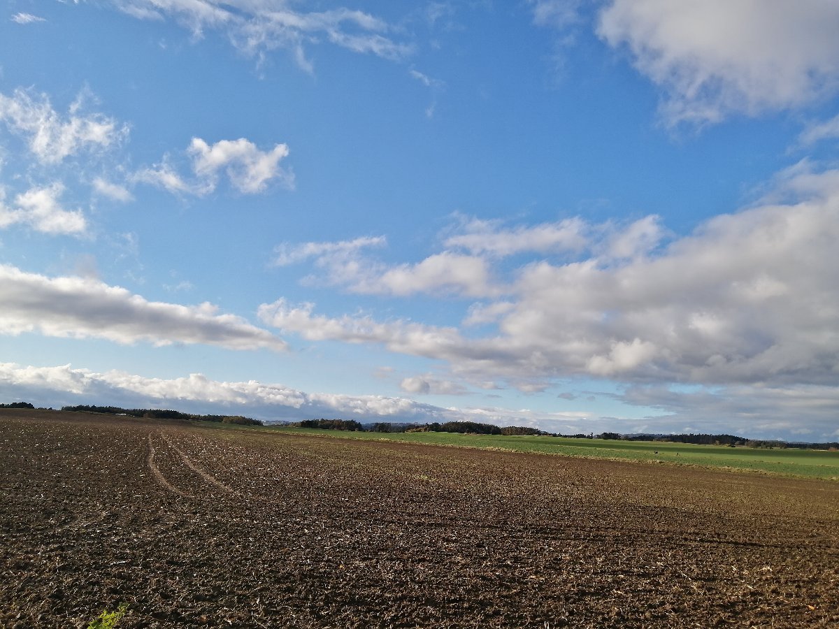 Hostákov