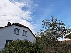 Olešná