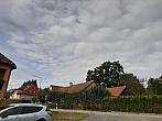 Olešná