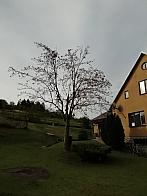 Skalité